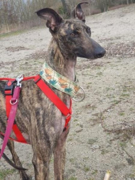 Die strahlende Nani❤