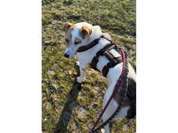 Debbie wartet in 01239 Dresden