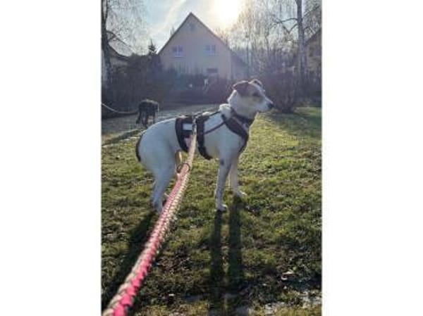 Debbie wartet in 01239 Dresden