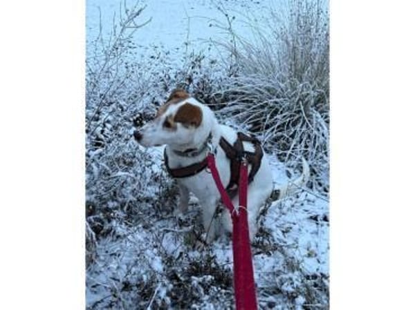 Debbie wartet in 01239 Dresden