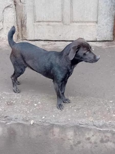 Charmante Fani sucht Familie