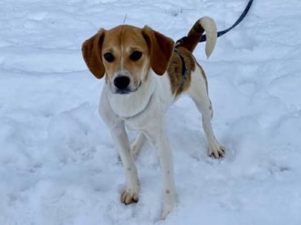 Lisa möchte Ihr Herz erwärmen