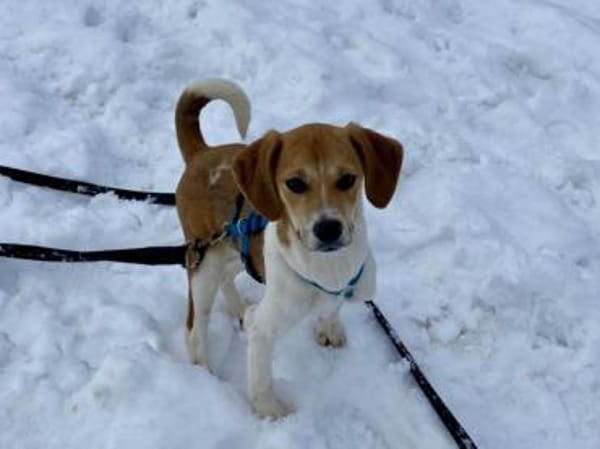 Lisa möchte Ihr Herz erwärmen