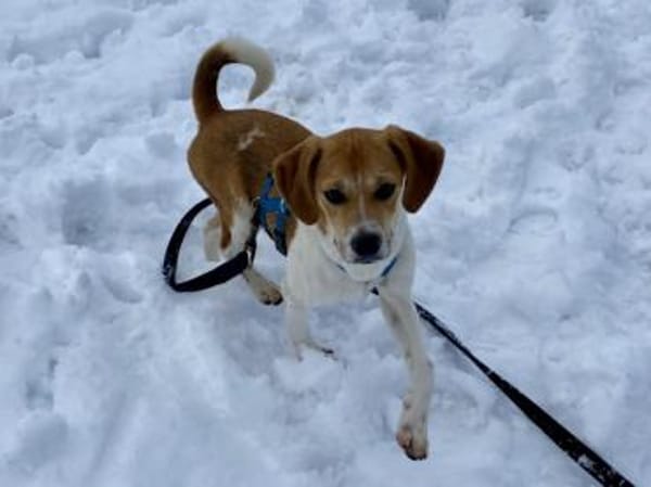 Lisa möchte Ihr Herz erwärmen