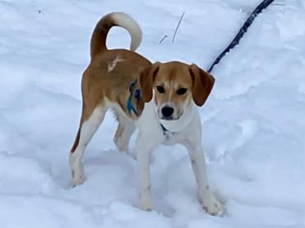 Lisa möchte Ihr Herz erwärmen