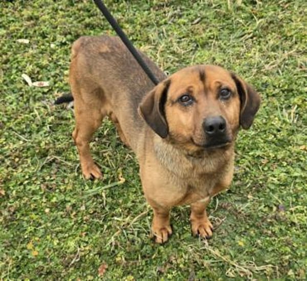 Alejandro wie lang muss er noch warten?