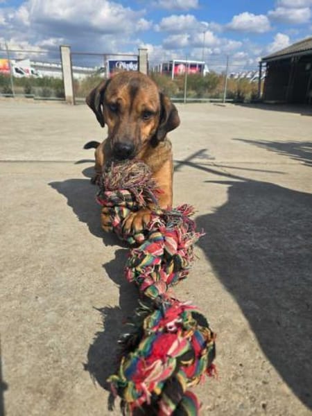 Alejandro wie lang muss er noch warten?