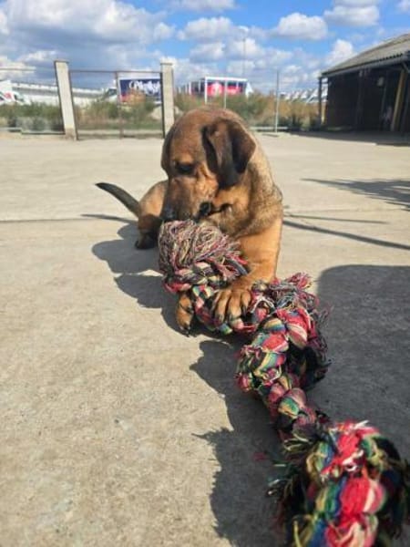 Alejandro wie lang muss er noch warten?