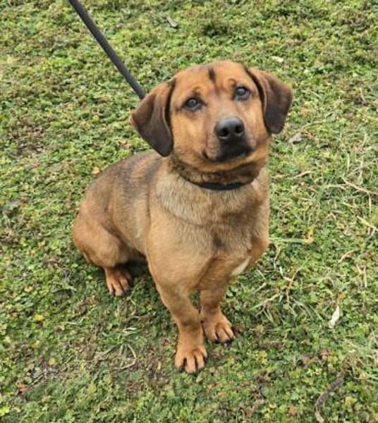 Alejandro wie lang muss er noch warten?