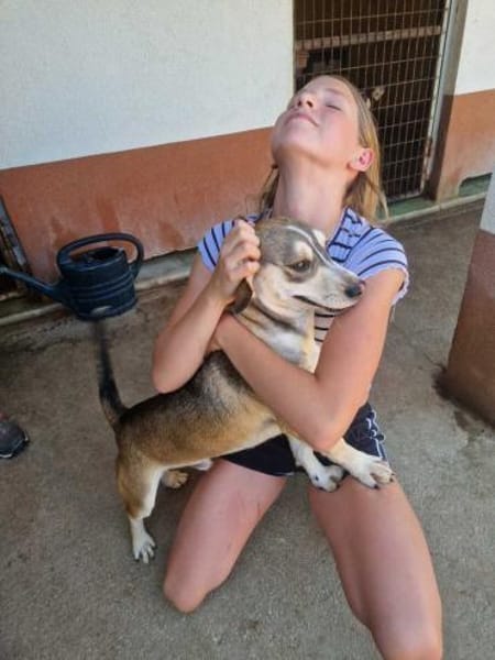 Dion - fast ein Schneehase