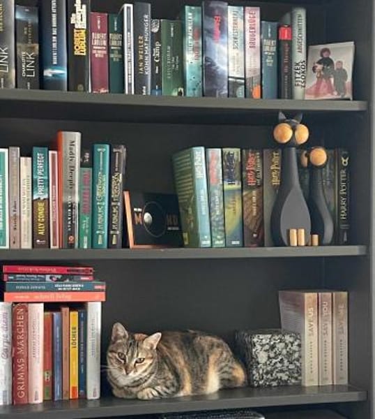 Zurückhaltende Katzendame Sally