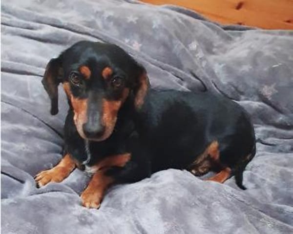 Tami-tacsi°  33142 Büren