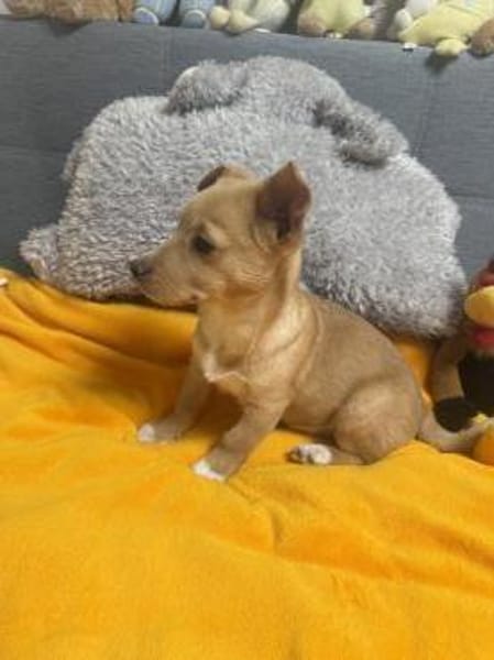 Luka einfach nur lieb