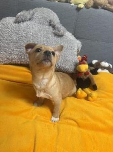 Luka einfach nur lieb