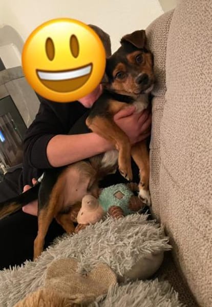 Charlie sucht sein liebevolles Zuhause