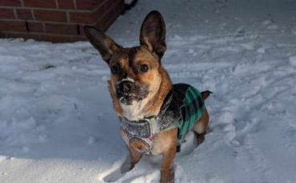 Kleine Shazia wartet auf ihr Zuhause