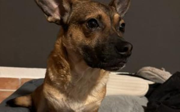 Kleine Shazia wartet auf ihr Zuhause