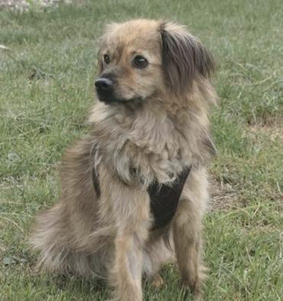 Marissa sucht ihre Menschen ❤