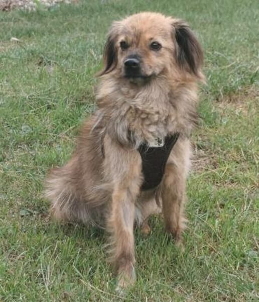 Marissa sucht ihre Menschen ❤