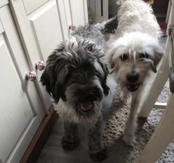 Olsen sucht seine Menschen