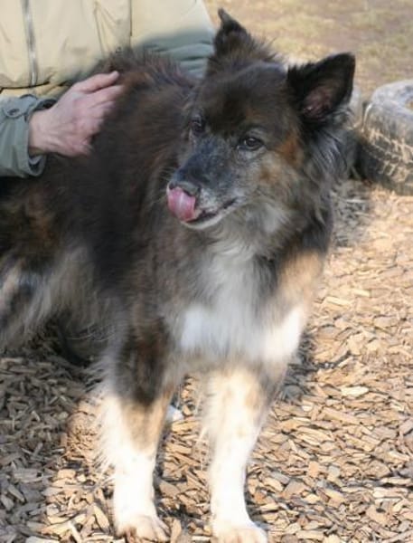 STELLA 🔥 fitte Best Agerin