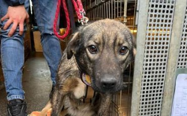 Celi wartet auf dich