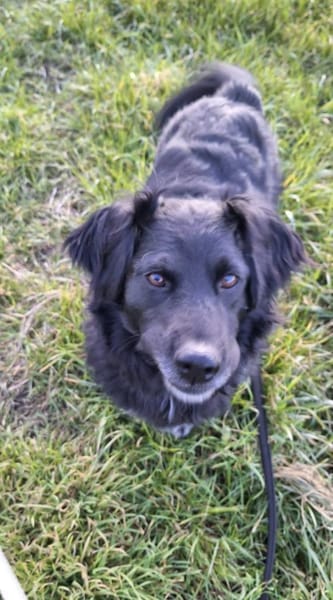 Tobi 💙 sucht seine Menschen