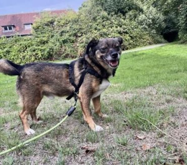 Freddy sucht seine Familie 💙