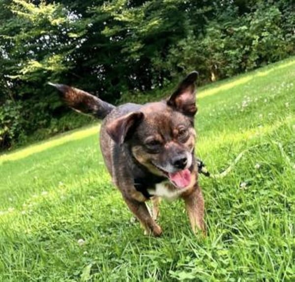 Freddy sucht seine Familie 💙