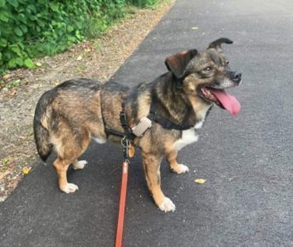 Freddy sucht seine Familie 💙