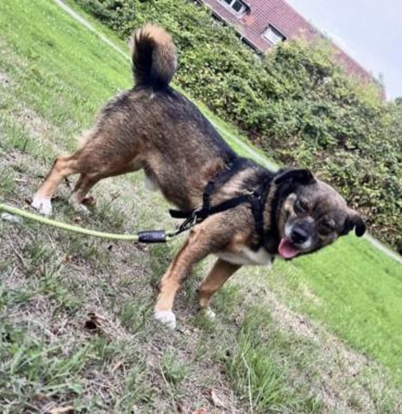 Freddy sucht seine Familie 💙