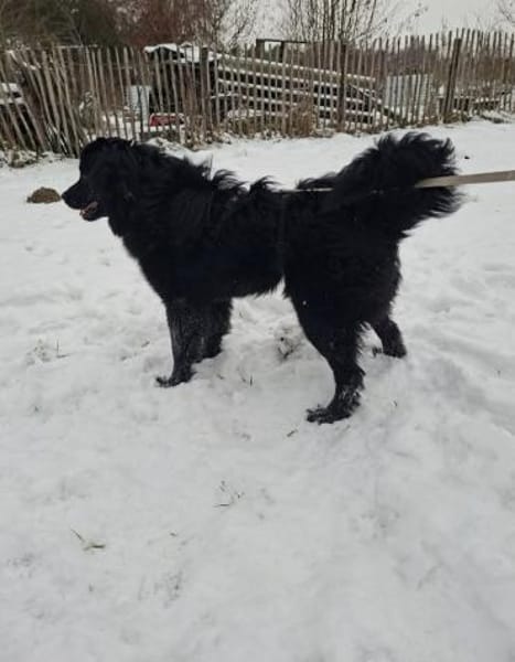 Toni sucht seine Familie 💙