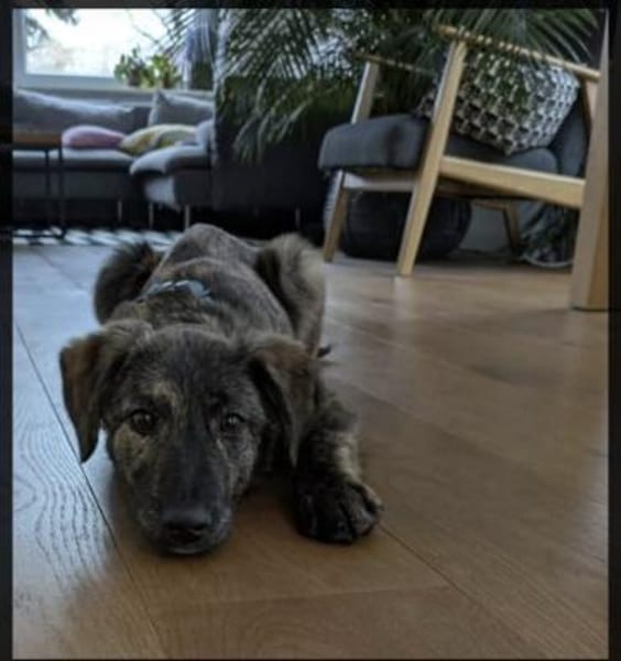 Paula ❤ sucht ihre Familie