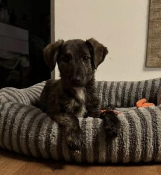 Paula ❤ sucht ihre Familie