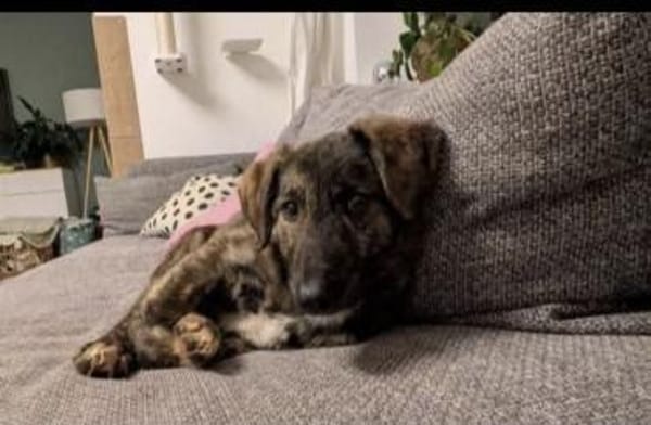 Paula ❤ sucht ihre Familie