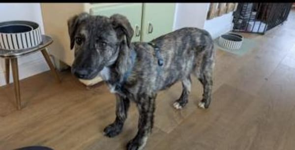 Paula ❤ sucht ihre Familie