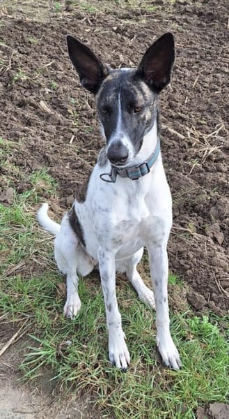 Franka sucht ihre Familie