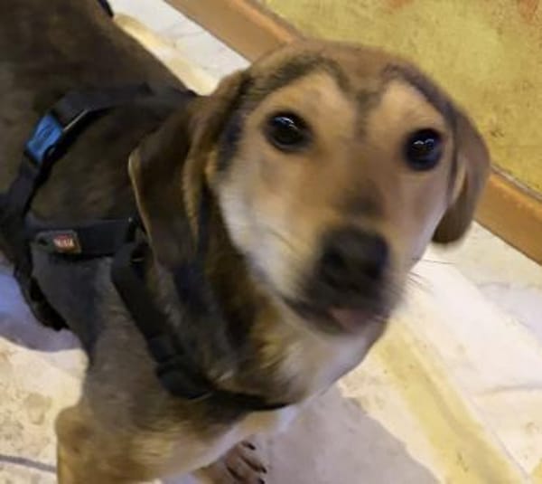 Vanja die kleine Zuckerschnute