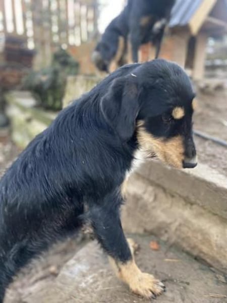 Emma - toller Charakter