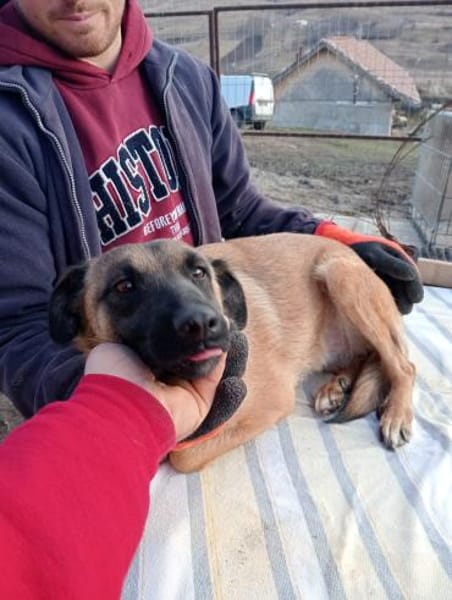 Umbra hat sich toll entwickelt