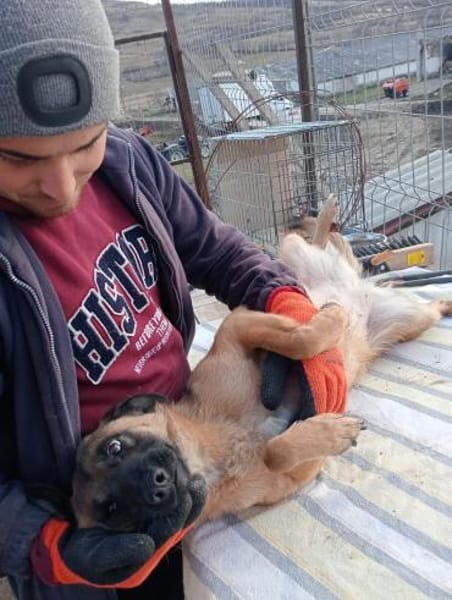 Umbra hat sich toll entwickelt