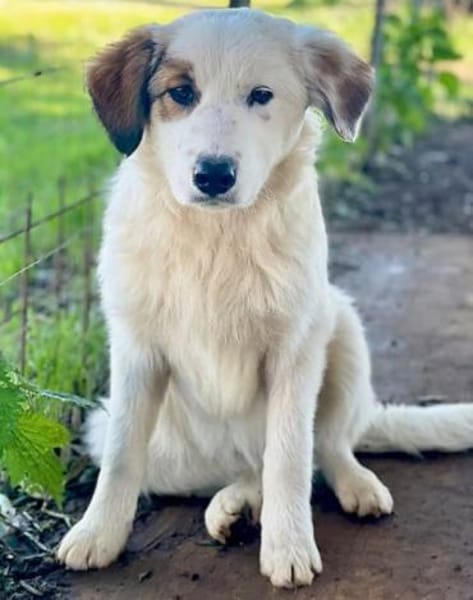 hübscher,  lieber 🥰 Vale 🥰