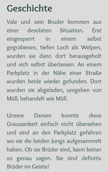 hübscher,  lieber 🥰 Vale 🥰