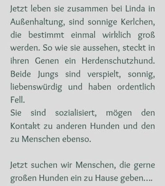 hübscher,  lieber 🥰 Vale 🥰