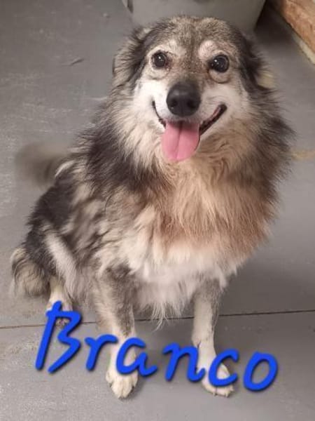 BRANCO - Couchkuscheln ist sooo schön