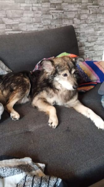 BRANCO - Couchkuscheln ist sooo schön