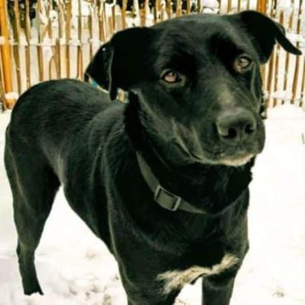 ZOLA -liebt alle Menschen-