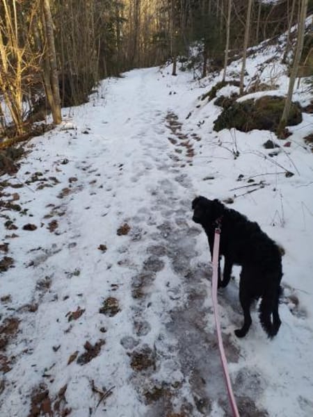 Anni  sucht ihre Familie