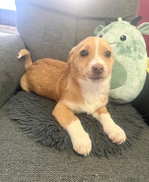 Nino ein tolles kleines Kerlchen