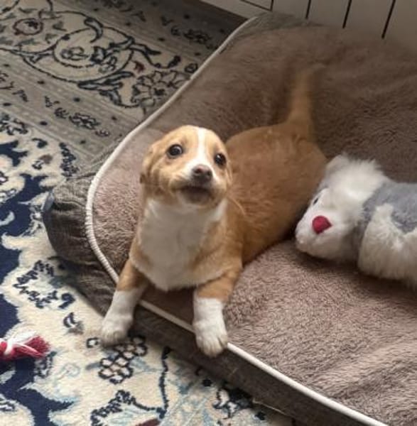 Nino ein tolles kleines Kerlchen